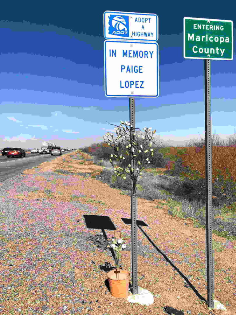 Buscan dividir a Maricopa
