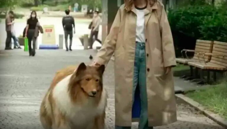 Japonés gasta 14 mil dólares para transformarse en perro