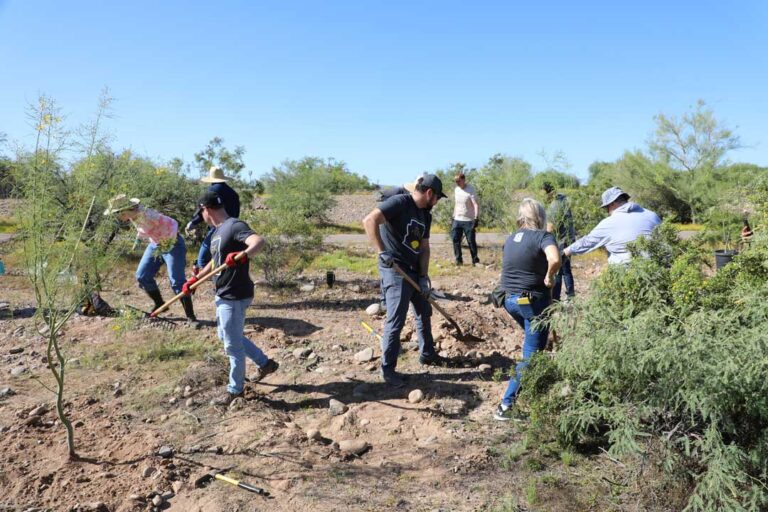 Colaboran por Phoenix y La Tierra