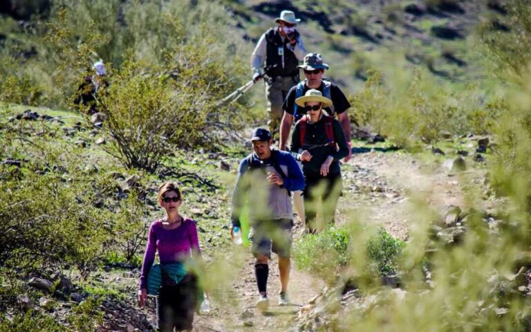 ¿Buscas aventura? Estas 5 rutas para hacer senderismo en Phoenix te encantarán