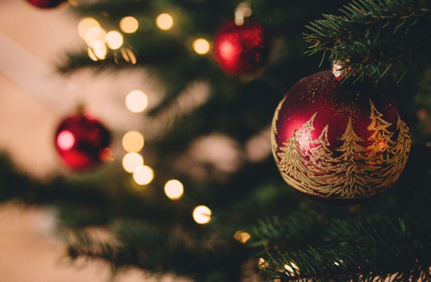 Navidad segura: Consejos esenciales para evitar incendios y accidentes con el Árbol de Navidad