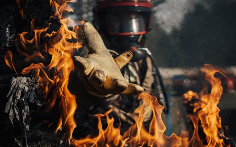 Crean consejo de seguridad contra incendios forestales en Arizona