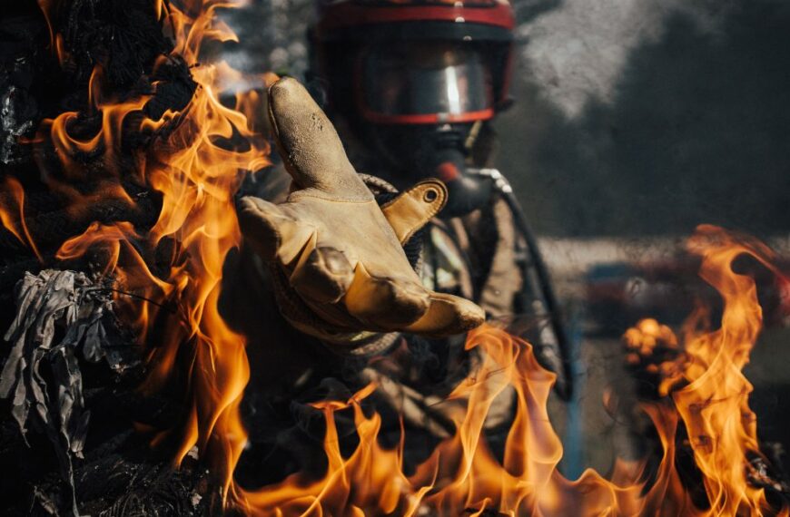 Crean consejo de seguridad contra incendios forestales en Arizona