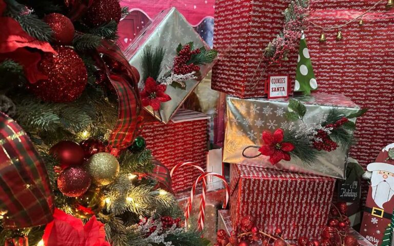 Albergue De Colores de CPLC celebra Navidad con regalos y fiesta