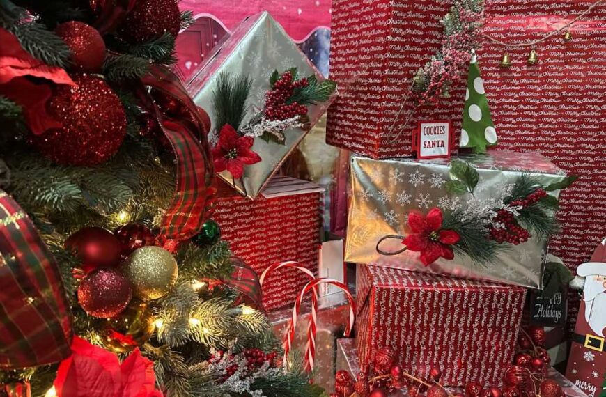 Albergue De Colores de CPLC celebra Navidad con regalos y fiesta