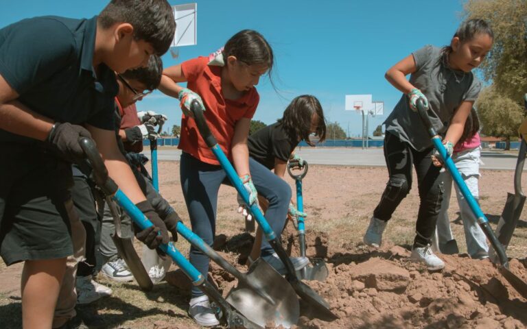 Siembran 1,500 árboles en Phoenix durante 2024: buscan aumentar la sombra en la ciudad