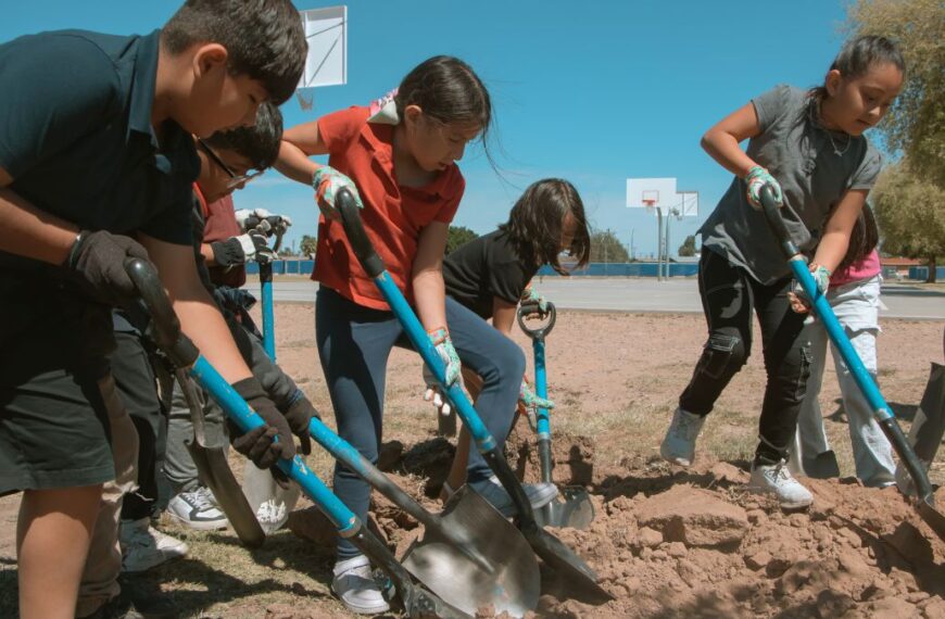 Siembran 1,500 árboles en Phoenix durante 2024: buscan aumentar la sombra en la ciudad