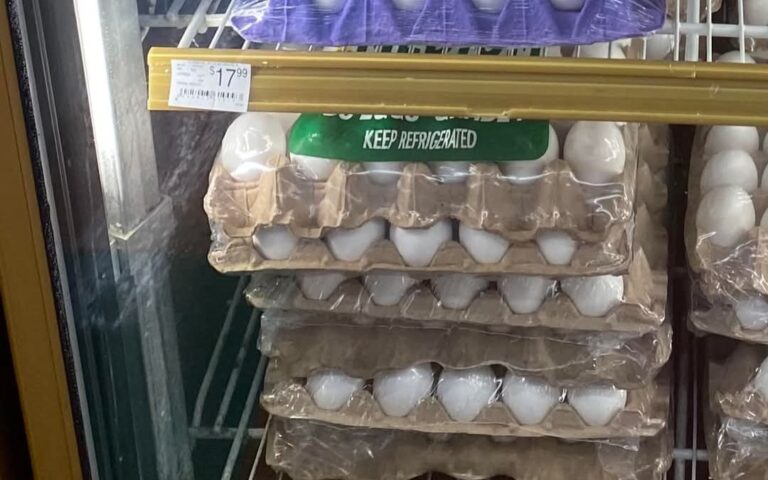 Se dispara el precio del huevo: esperan más aumentos en productos en Estados Unidos