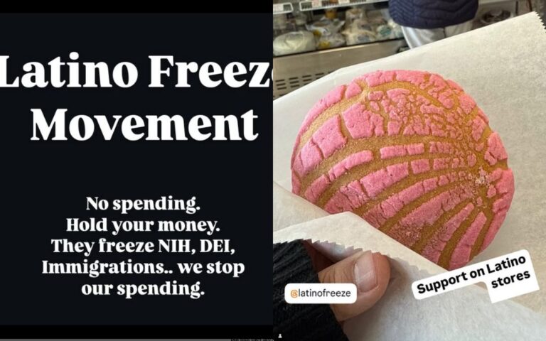 Latino Freeze, el movimiento que surge contra las políticas antimigratorias de Donald Trump
