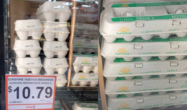 Golpea alza en huevo y gasolina a la economía de las familias en Estados Unidos