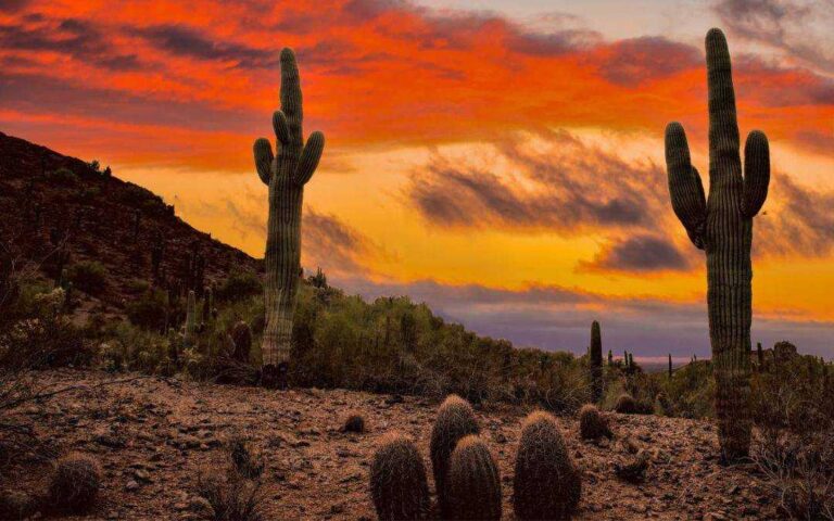 ¡Feliz cumpleaños, Arizona! El estado del Gran Cañón celebra 112 años de historia y diversidad