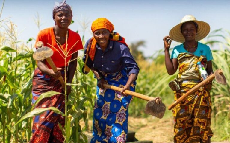 Desmantelamiento de USAID violentó la Constitución: Juez federal