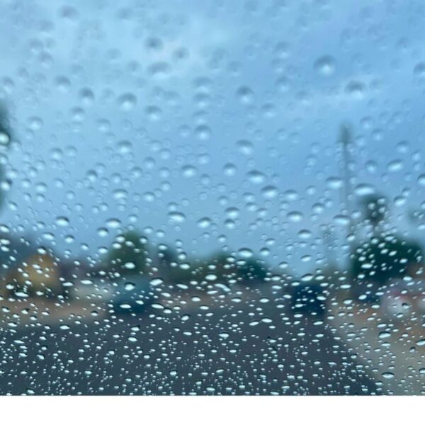 Alerta por inundación en el Valle: lo que debes saber sobre las lluvias