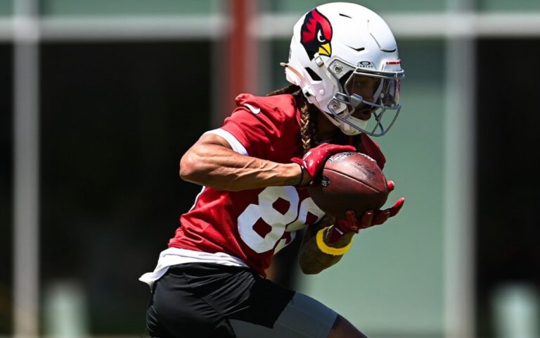 Cardinals