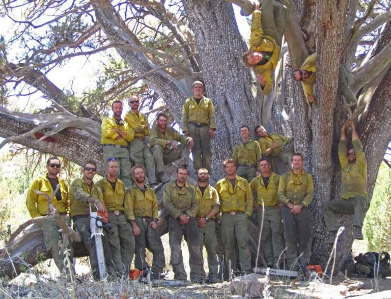 Arizona Hotshots