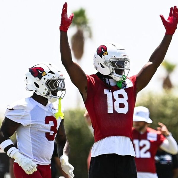 Arizona Cardinals empiezan a estirar las alas: se preparan para nueva era defensiva