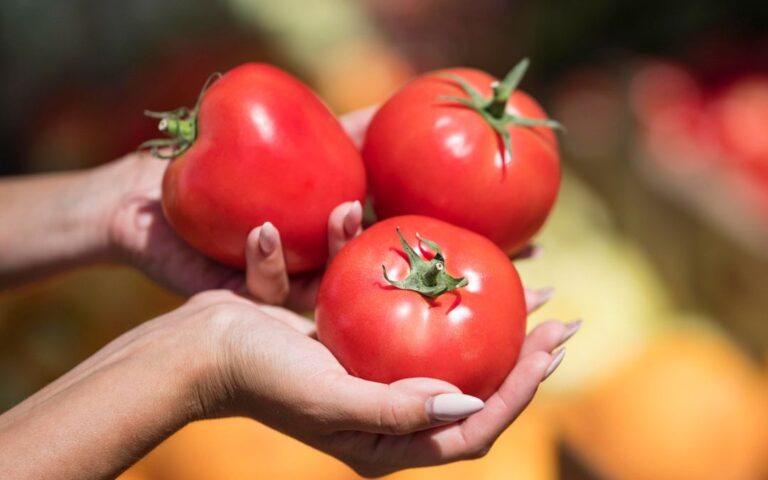 Inflación y aranceles a productos amenazan la economía de Arizona y de todo el país