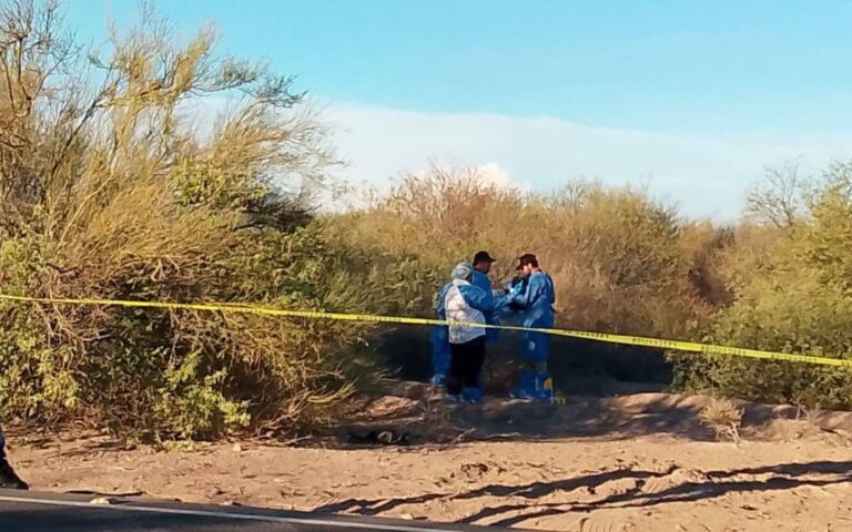 Horror en Sonora: asesinan a tres niñas y su madre en Hermosillo