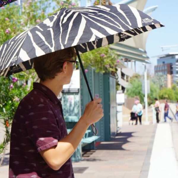Valley Metro anuncia cambios en sus rutas y horarios: consúltalos