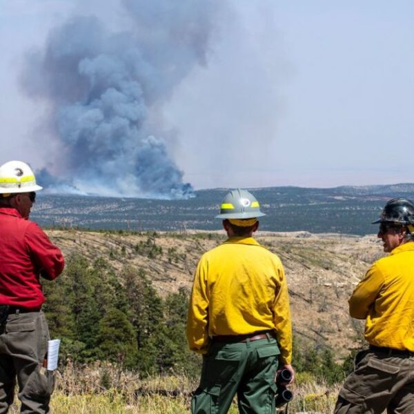 Incendio ‘Dragon Bravo’ en el Gran Cañón sigue activo: deja devastación a su paso