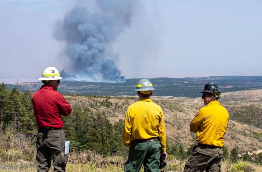 Incendio ‘Dragon Bravo’ en el Gran Cañón sigue activo: deja devastación a su paso