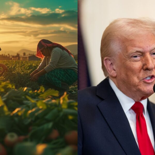 ‘Lo hacen de forma natural’: La polémica declaración de Trump sobre inmigrantes en el campo