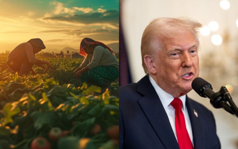 ‘Lo hacen de forma natural’: La polémica declaración de Trump sobre inmigrantes en el campo