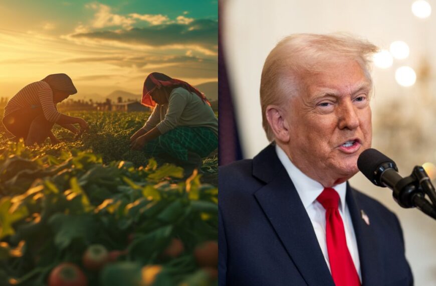 ‘Lo hacen de forma natural’: La polémica declaración de Trump sobre inmigrantes en el campo