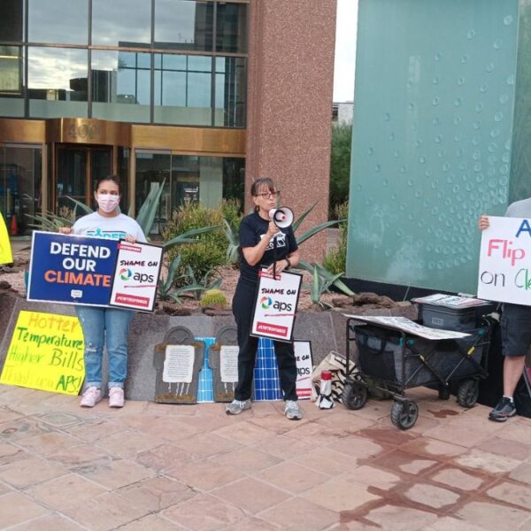 Organizaciones ambientales protestaron en oficinas de APS