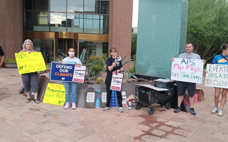 Organizaciones ambientales protestaron en oficinas de APS