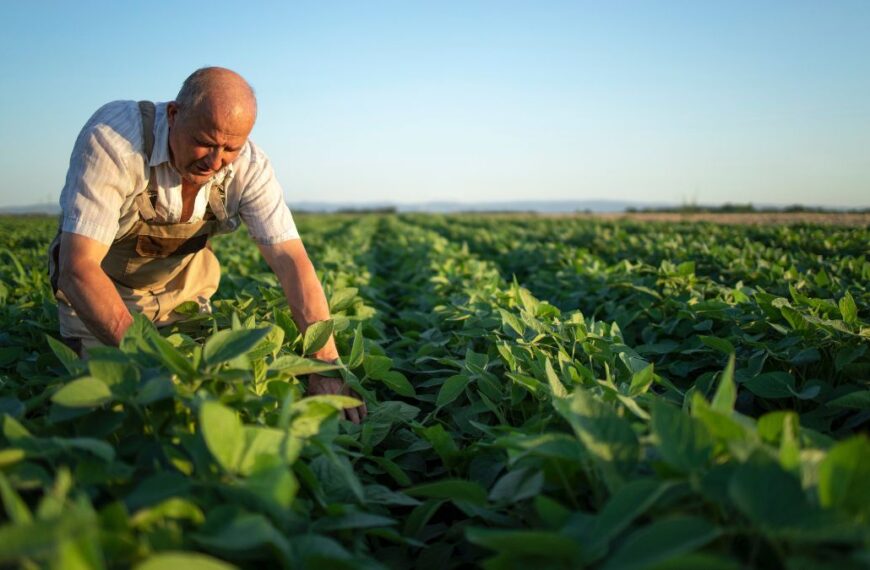 Agricultores sufren la incertidumbre financiera ante aranceles de Trump