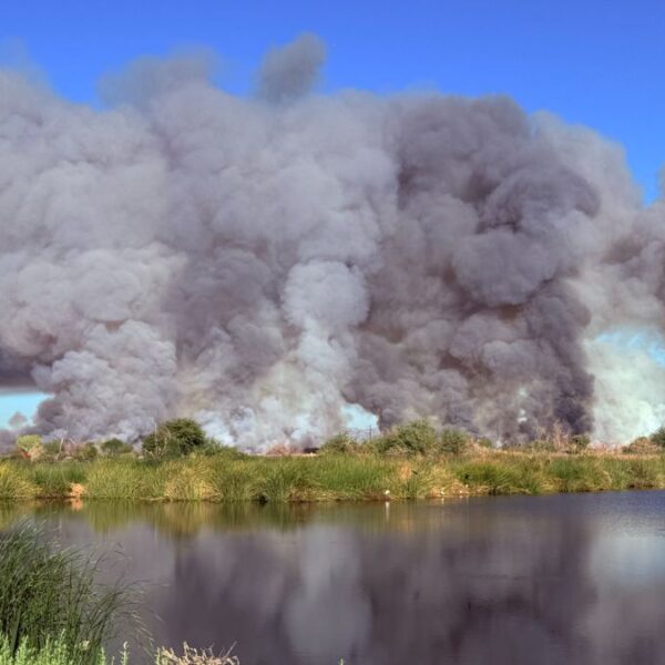 Incendio en Phoenix es una quema controlada en los humedales de Tres Ríos