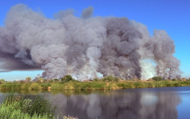Incendio en Phoenix es una quema controlada en los humedales de Tres Ríos