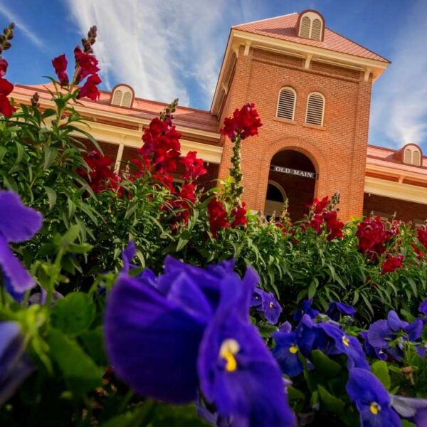 Buscan “alinear” a universidades