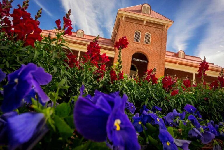 Buscan “alinear” a universidades