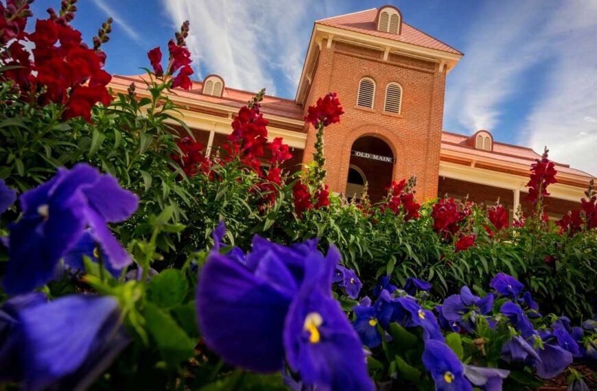 Buscan “alinear” a universidades