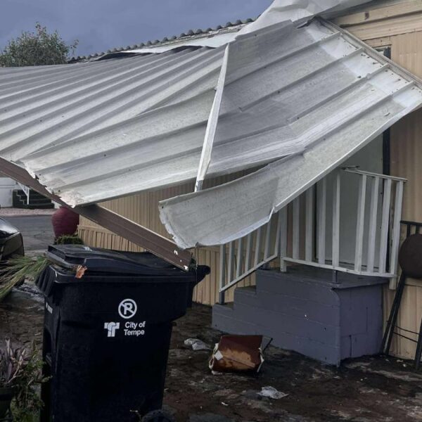 Tormenta provoca daños en Tempe: árboles caídos y cortes de luz