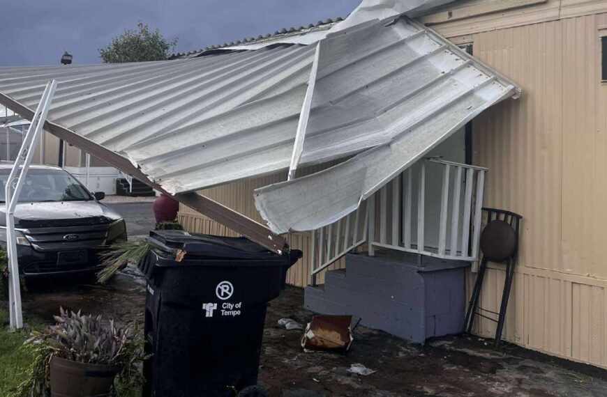 Tormenta provoca daños en Tempe: árboles caídos y cortes de luz