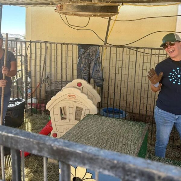 Galardonan a refugio Farm Angels Sanctuary con Premio Anthem Oro