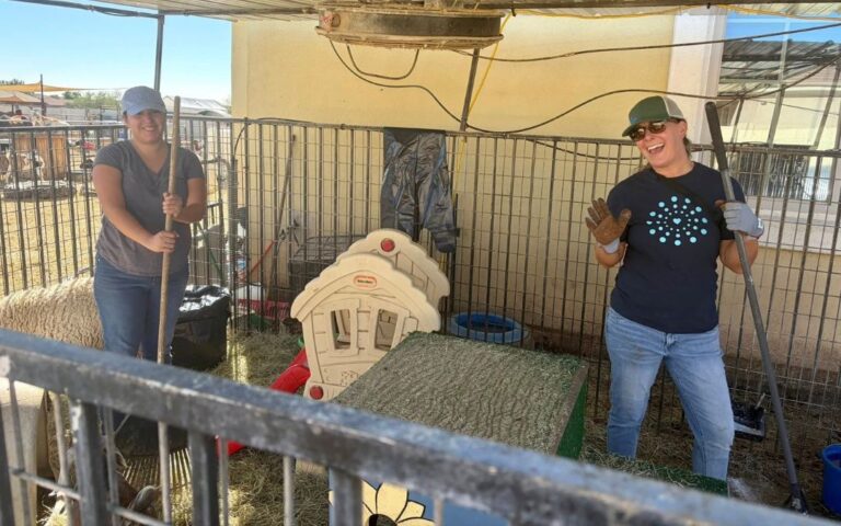 Galardonan a refugio Farm Angels Sanctuary con Premio Anthem Oro