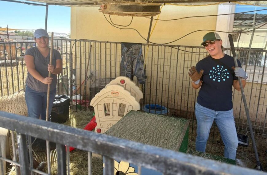 Galardonan a refugio Farm Angels Sanctuary con Premio Anthem Oro