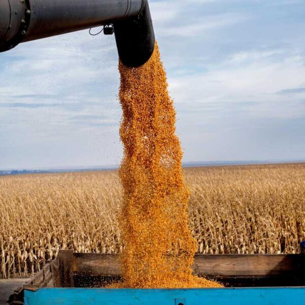 Rescate a agricultores afectados por aranceles