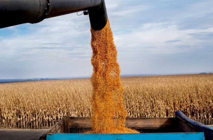 Rescate a agricultores afectados por aranceles