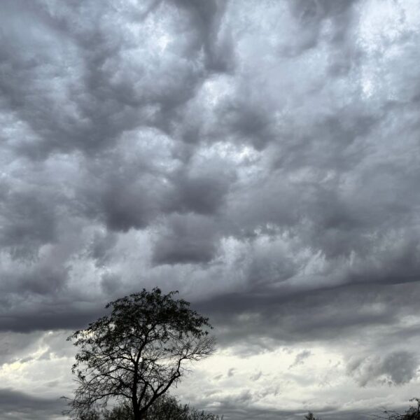 ¿Lloverá durante Año Nuevo en Phoenix? Conoce el pronóstico del tiempo