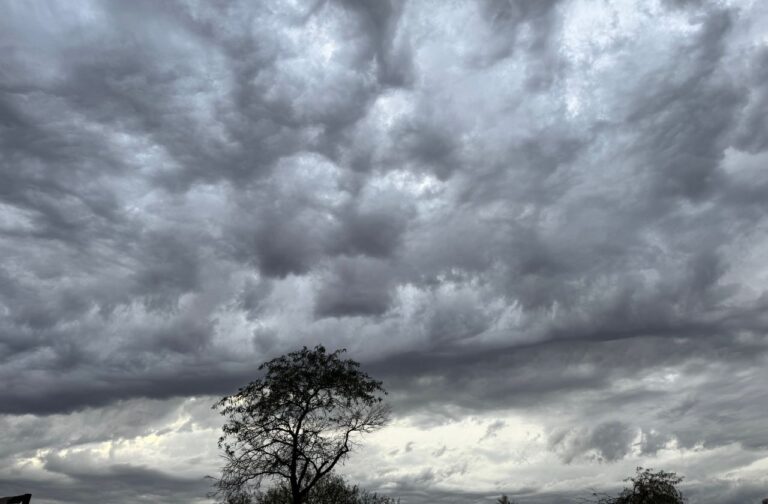 ¿Lloverá durante Año Nuevo en Phoenix? Conoce el pronóstico del tiempo