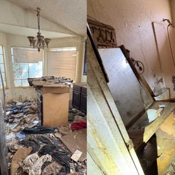 Más de 60 perros rescatados de una vivienda en Peoria tras años de quejas vecinales