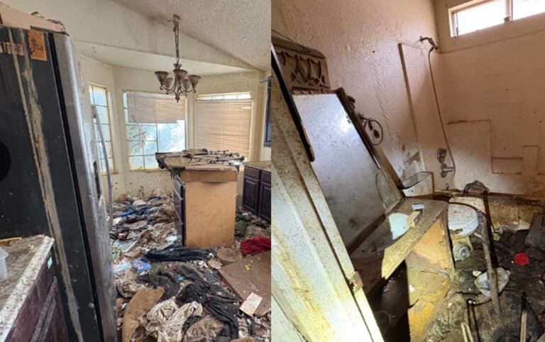 Más de 60 perros rescatados de una vivienda en Peoria tras años de quejas vecinales