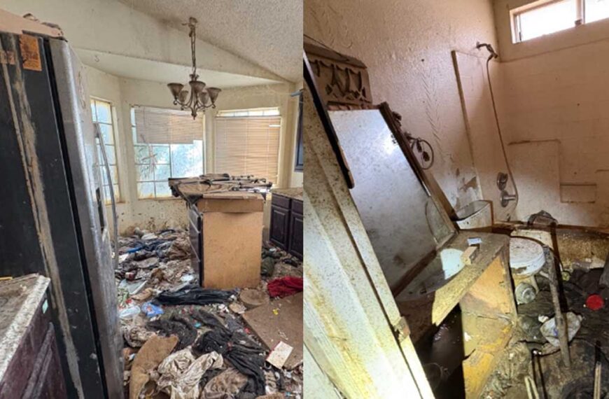 Más de 60 perros rescatados de una vivienda en Peoria tras años de quejas vecinales