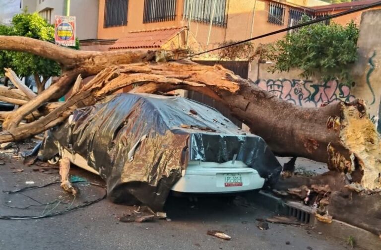 Sismo de magnitud 6.5 sacude el centro de México