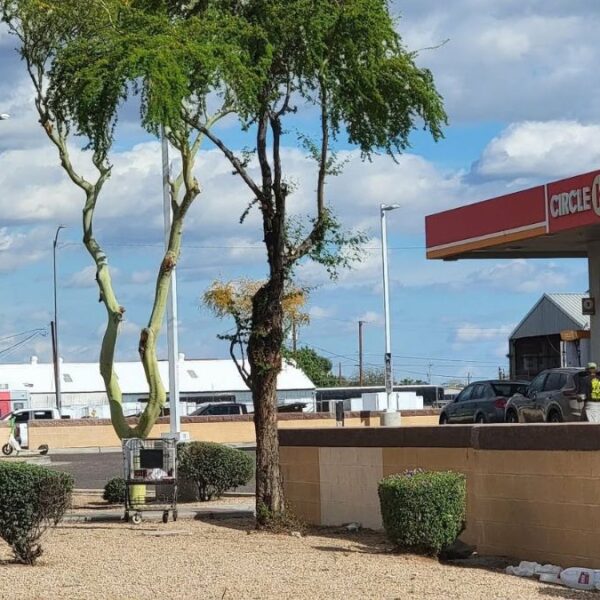 Guerra pega a Phoenix: Gasolina a $4.25 y cae el empleo